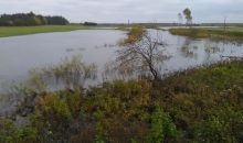 Ziemeļkurzemes upes pēc lietavām.