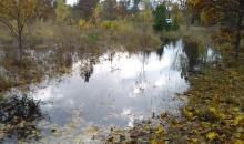 Ziemeļkurzemes upes pēc lietavām.
