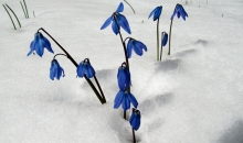 Otro Lieldienu rīts Rīgā, Pārdaugavā