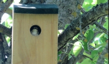 Mēreni tradicionālā...