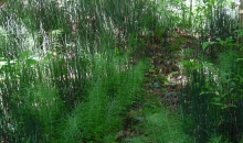 Sigulda-Silciems 17.06.2017