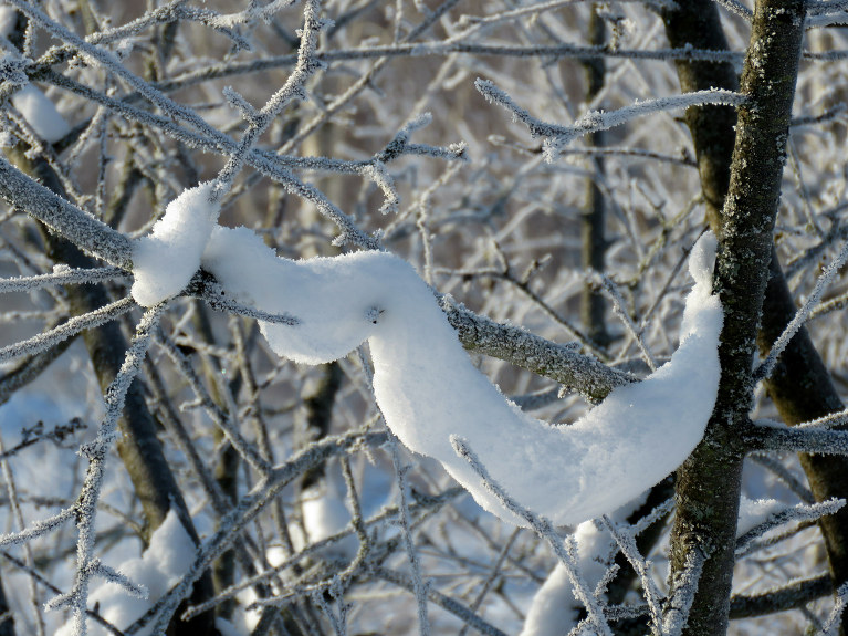 Ābelēm - skaisti sniega rotājumi.