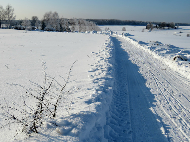 Janvāra pēdējā diena atnāca ar sauli un sarmu.