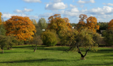 Drīzāk silta oktobra izskaņa