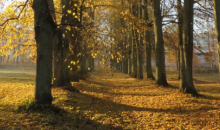 Nedēļas sākumā dominēs cikloni