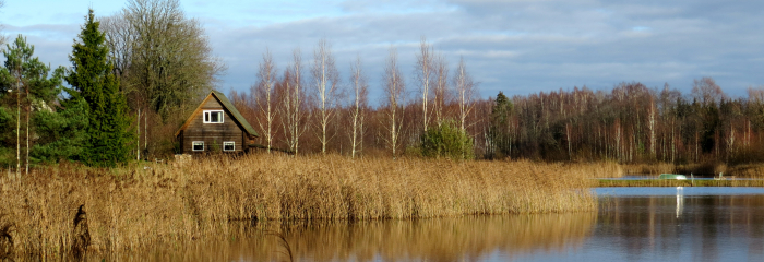 Silts novembra sākums