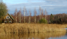 Silts novembra sākums