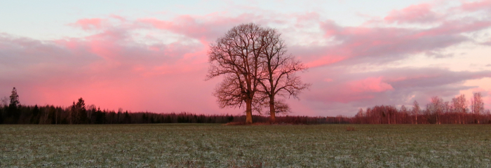 Slapjā rudens un ziemas mija