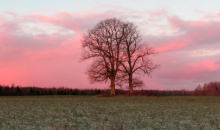 Slapjā rudens un ziemas mija
