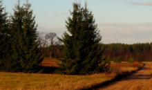 Siltuma turpinājums