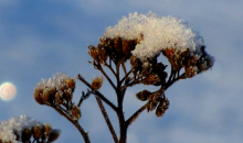 Pie durvīm klauvē ziema