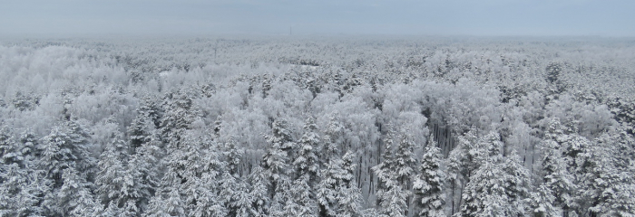 Aukstums janvāra 1. dekādē