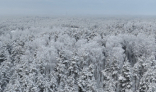 Aukstums janvāra 1. dekādē