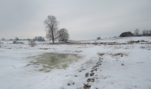 Straujais pavasara uznāciens.