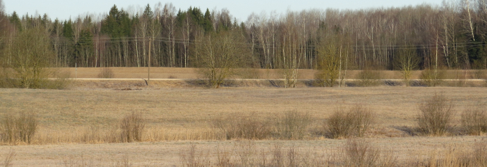 Mērens marta turpinājums