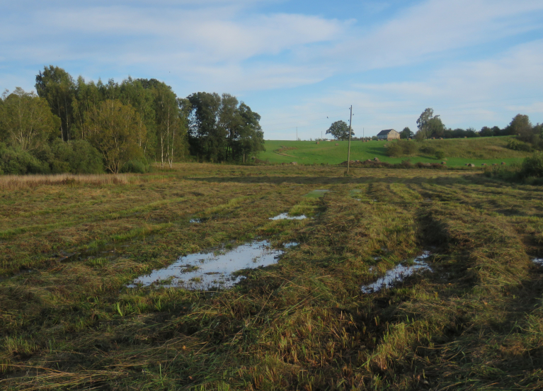 Tumšupes ielejas pļavas lielā mitruma dēļ paliek pusnopļautas.