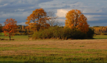 Zelta rudens kulminācija