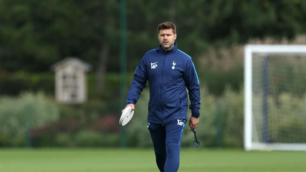 Cups are not target for Tottenham Hotspur