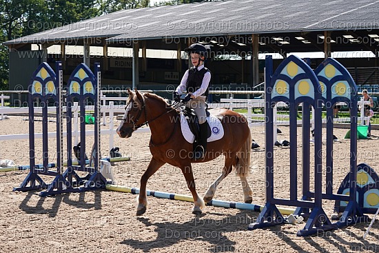 12 Jul 2020 - Showjumping