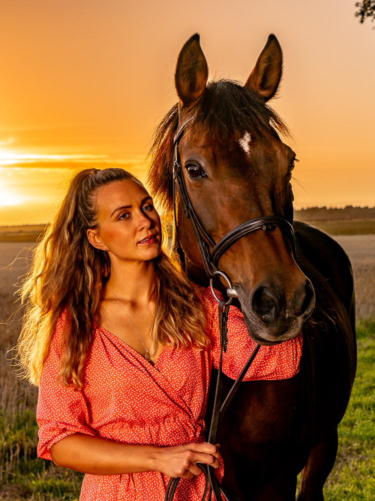 Equestrian Yard Shoots | MH902768.jpg