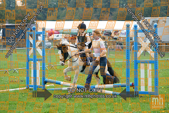 21 Sep 2024 - Showing & Showjumping at Newbury Show