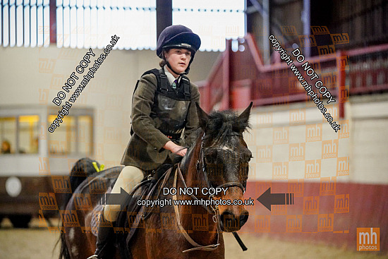 5 Jan 2025 - Showjumping - Merrist Wood
