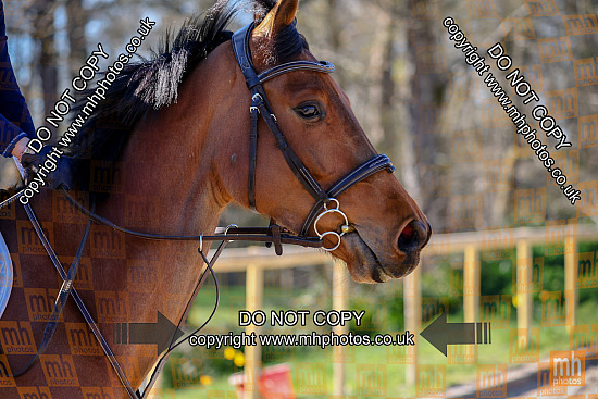 6 Apr 2025 - EC & JwS - Felbridge