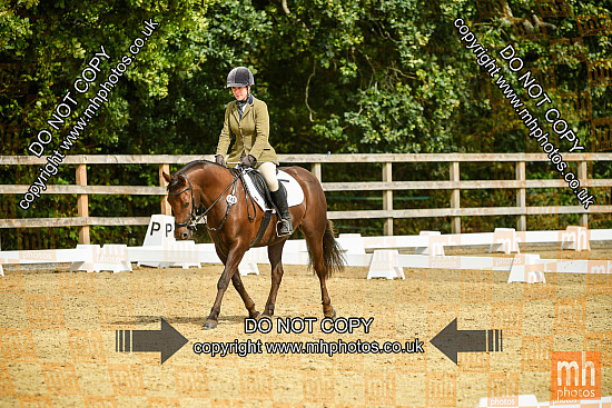 13 Sep 2025 - Dressage