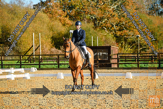 8 Nov 2025 - Dressage