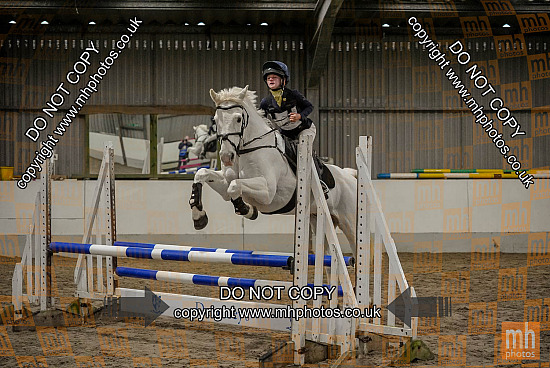 16 Nov 2025 - Dauntseys Showjumping - West Wilts