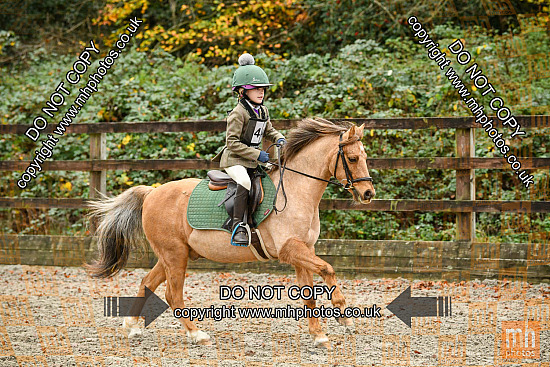 16 Nov 2025 - Showjumping - Moreton