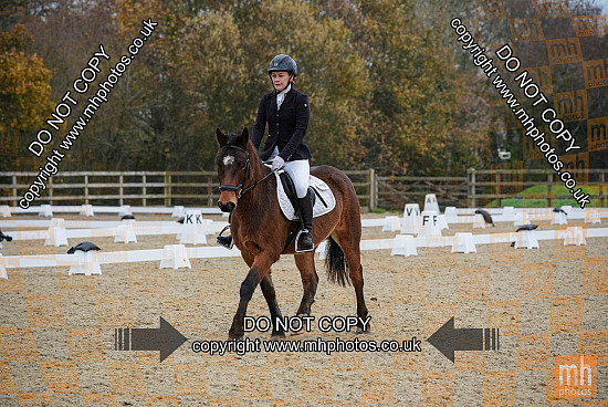 6 Dec 2025 - Dressage