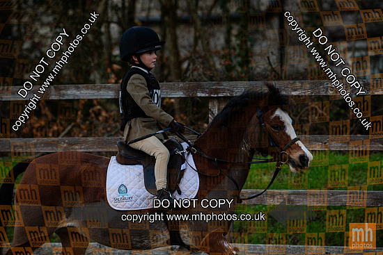 14 Dec 2025 - NSEA & UA Showjumping - Moreton