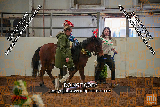 21 Dec 2025 - Puissance and Showjumping