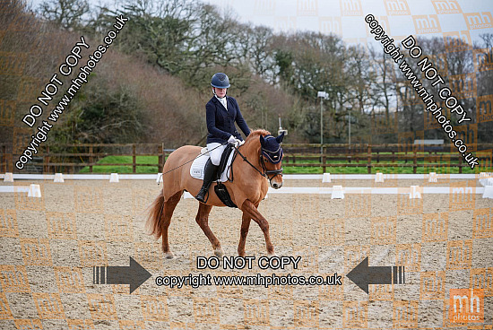 7 Feb 2026 - Dressage