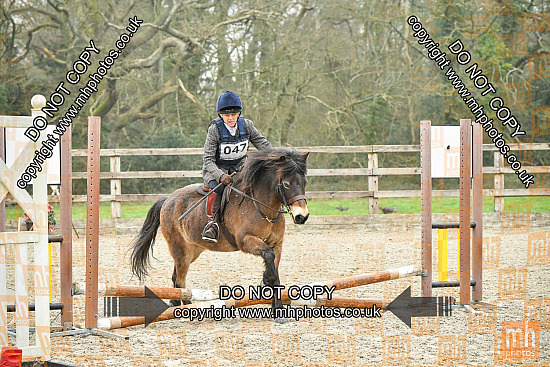 8 Mar 2026 - NSEA & UA Showjumping - Moreton