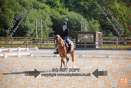 11 Jul 2026 - Dressage