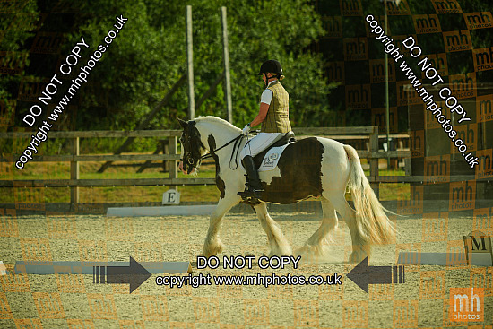 19 Jul 2026 - RC Area 17 Dressage