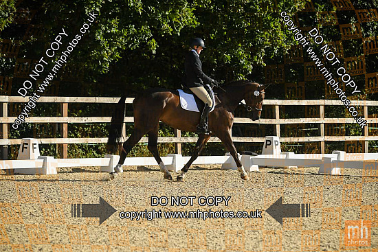 5 Sep 2026 - Dressage