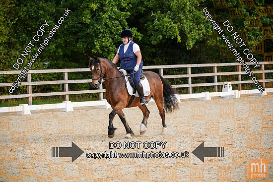 3 Oct 2026 - Dressage