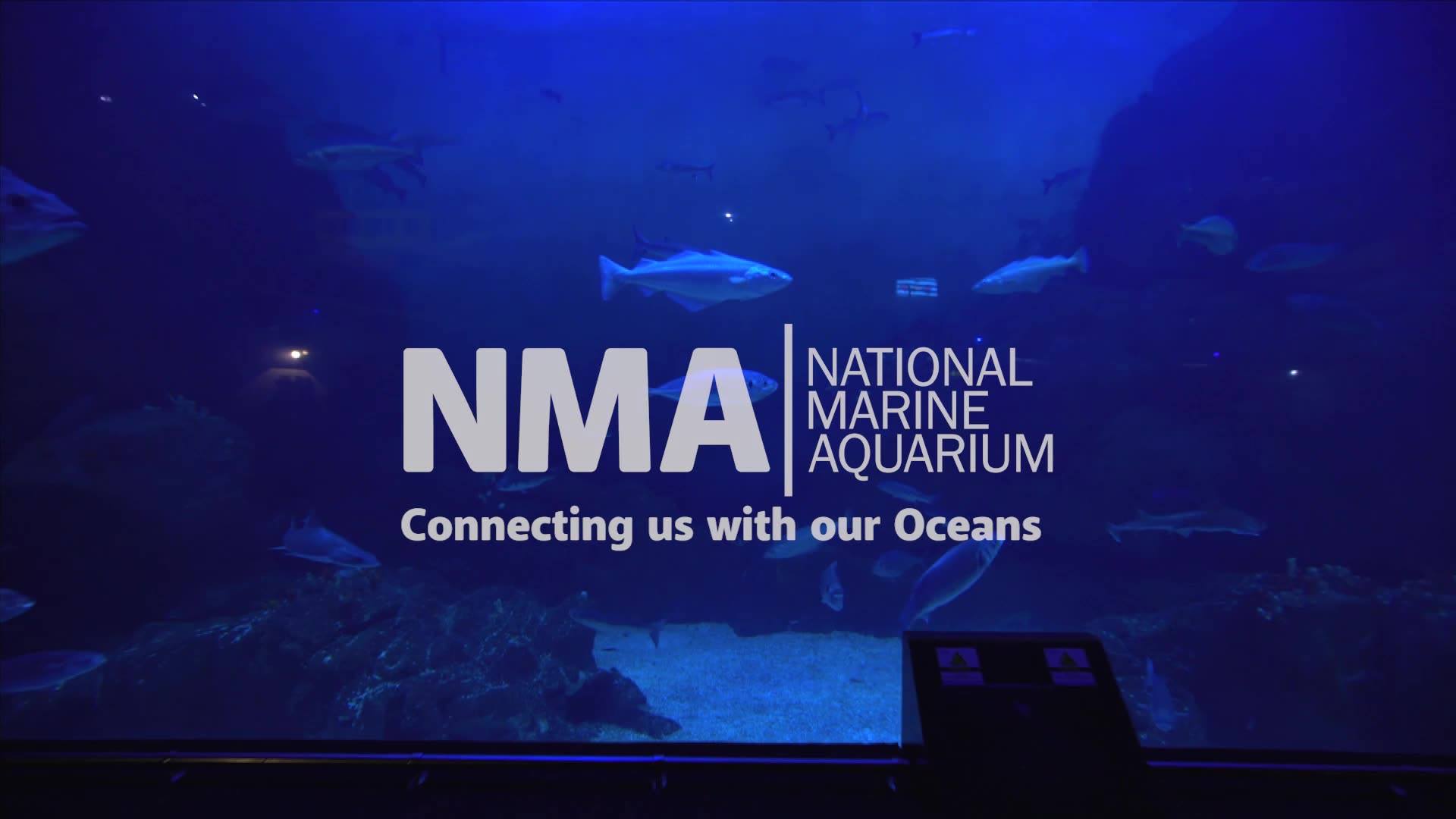 National Marine Aquarium Incentive Hotels Conference Venues micebook