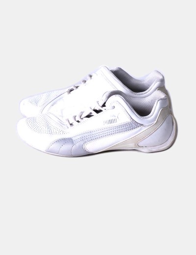 puma blanca puma blanca