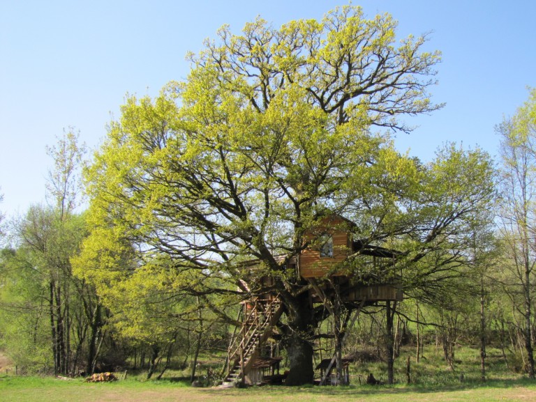 Cabane_dans_les_arbres.jpg