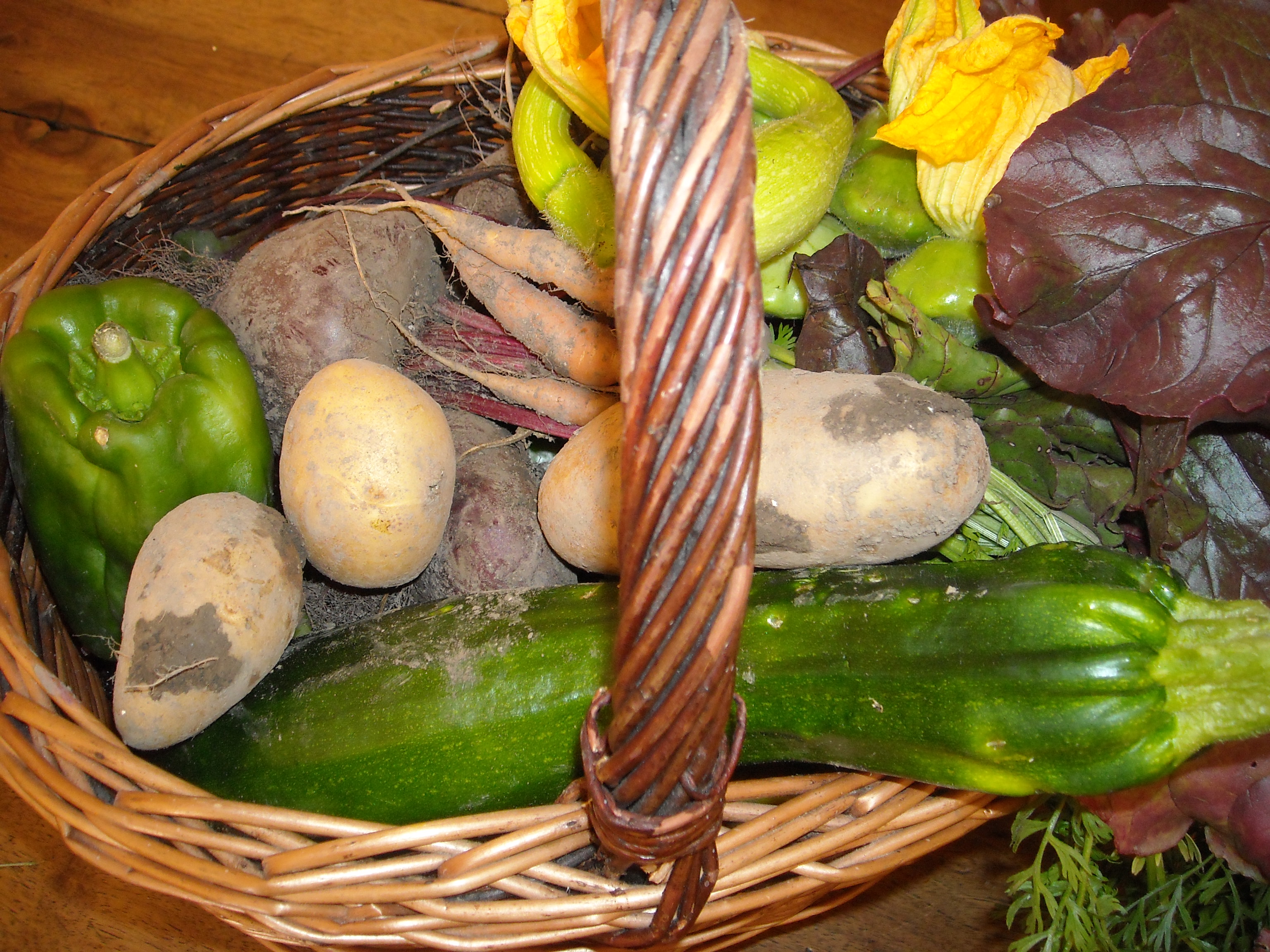 p3.JPG