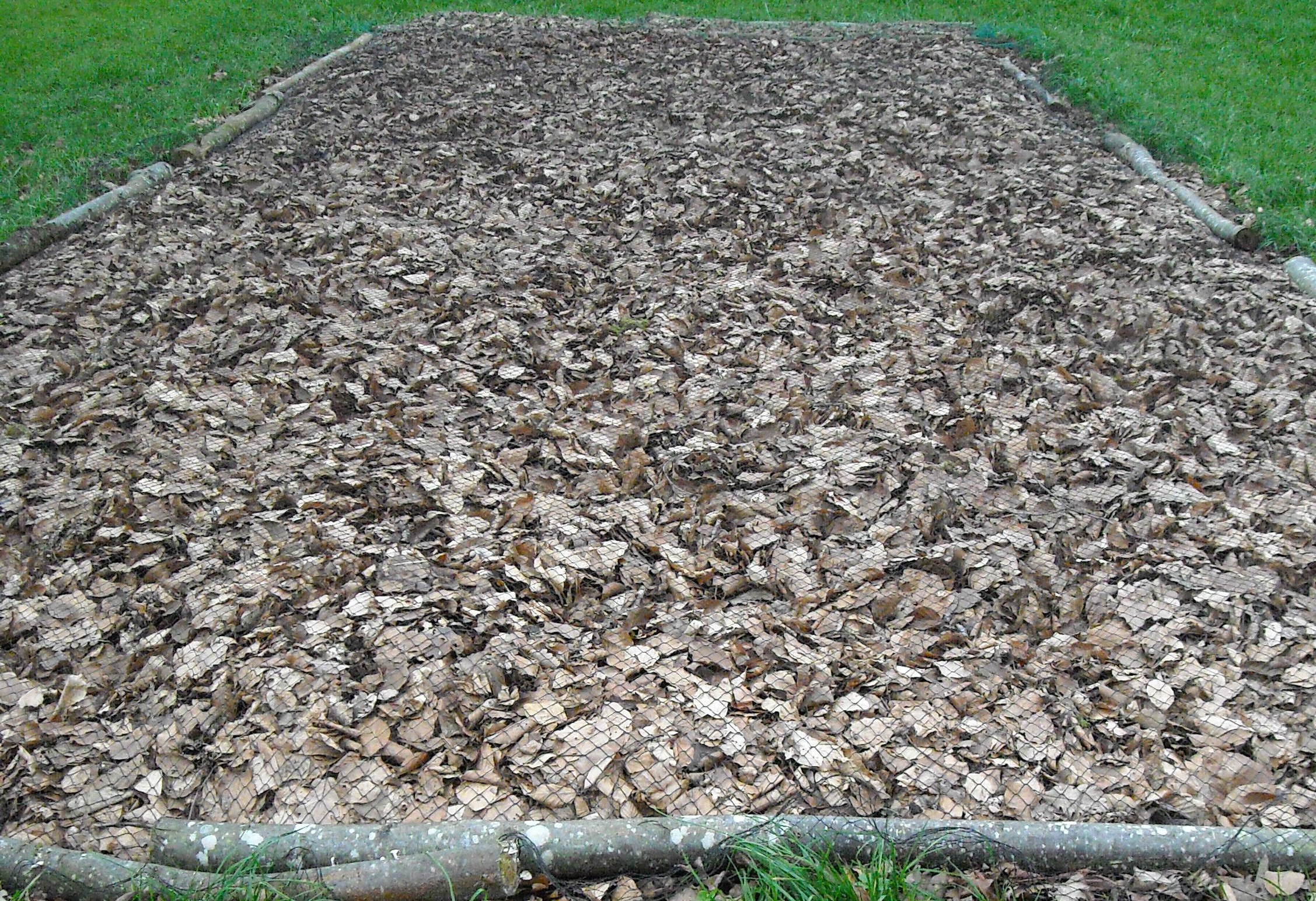 permaculture.JPG