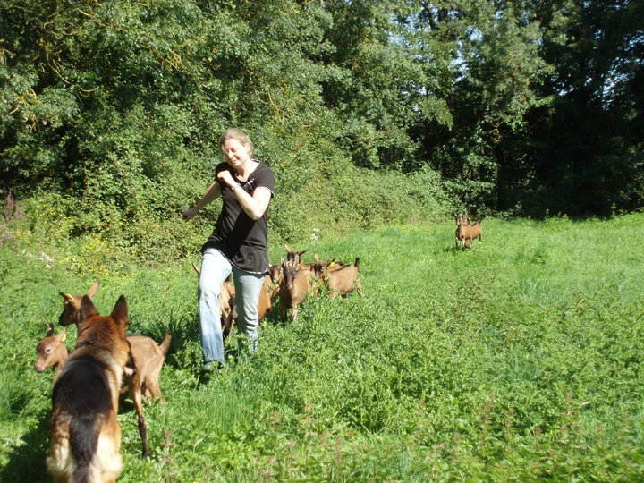 promenades_avec_les_chevrettes.jpg