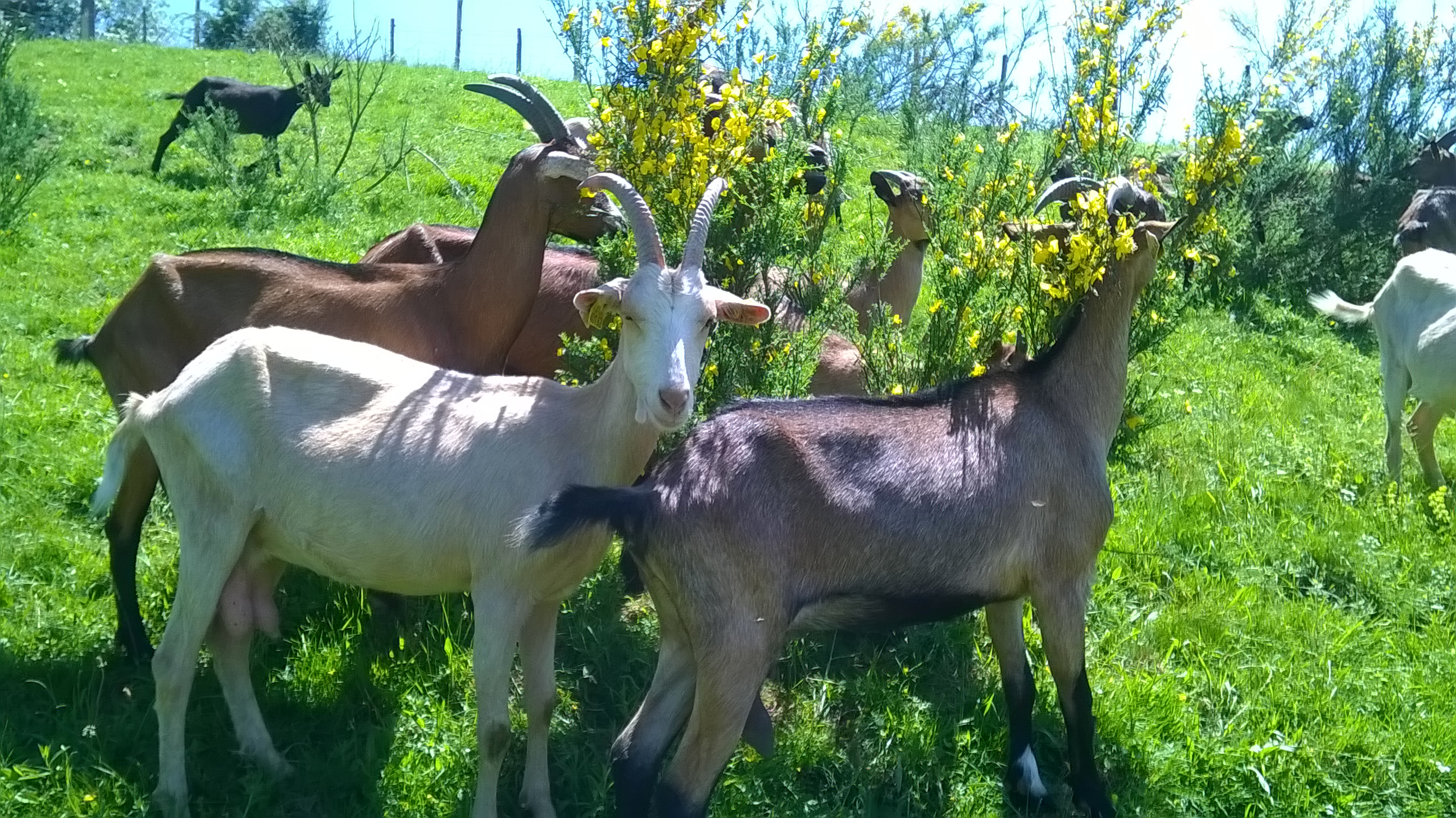 WP_20150518_035.jpg
