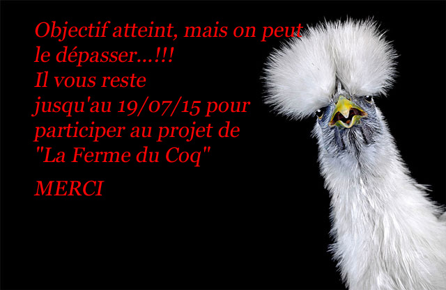 portrait-poule-goh0.m.jpg
