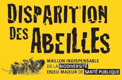 en-france-la-disparition-des-abeilles-prend-une-tournure-dramatique_4041223-L.jpg