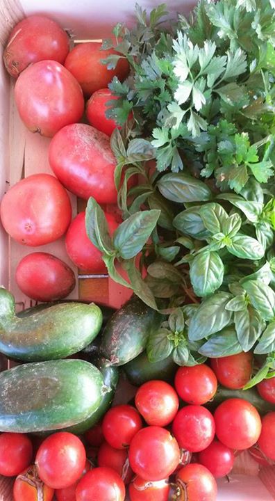 tomates.jpg
